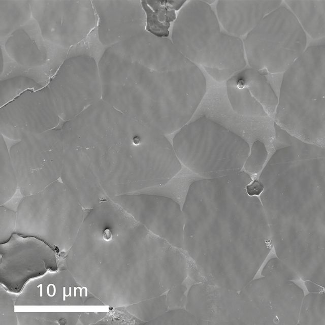 場(chǎng)發(fā)射掃描電子顯微鏡